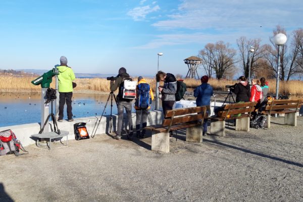 Gemütlicher Abschluss in Kreuzlingen.
Foto: Célestin Luisier