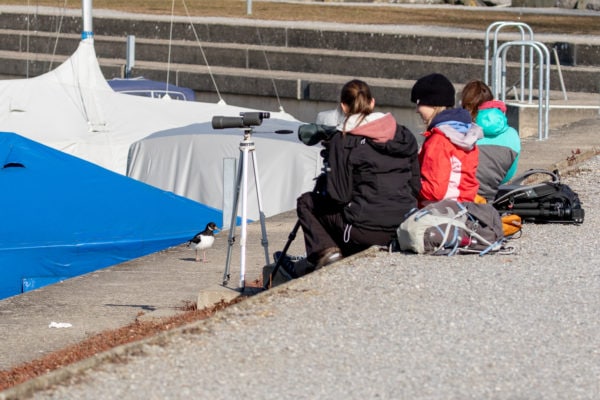 ... den Natrixlerinnen Selina, Noémie und Alina vor die Füsse. Crazzzy!
Foto: Merlin Hochreutener