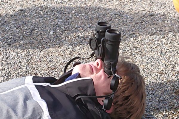 Freihändig den Himmel nach Greifvögel absuchen (oder doch schlafen?). Was da wohl gerade für ein spezieller Vogel ins Bild marschiert kommt?
Foto: Merlin Hochreutener